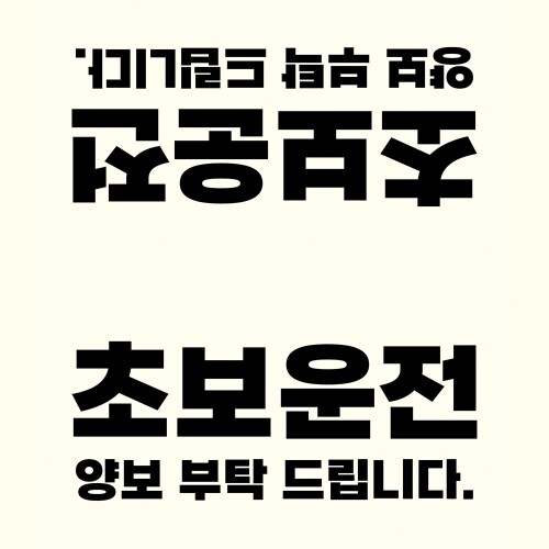 닥쏘오토,프릭스 초보운전 UV 가죽 디자인 택 Tag 태그